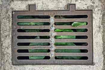 pexels-superbfnds-6464248